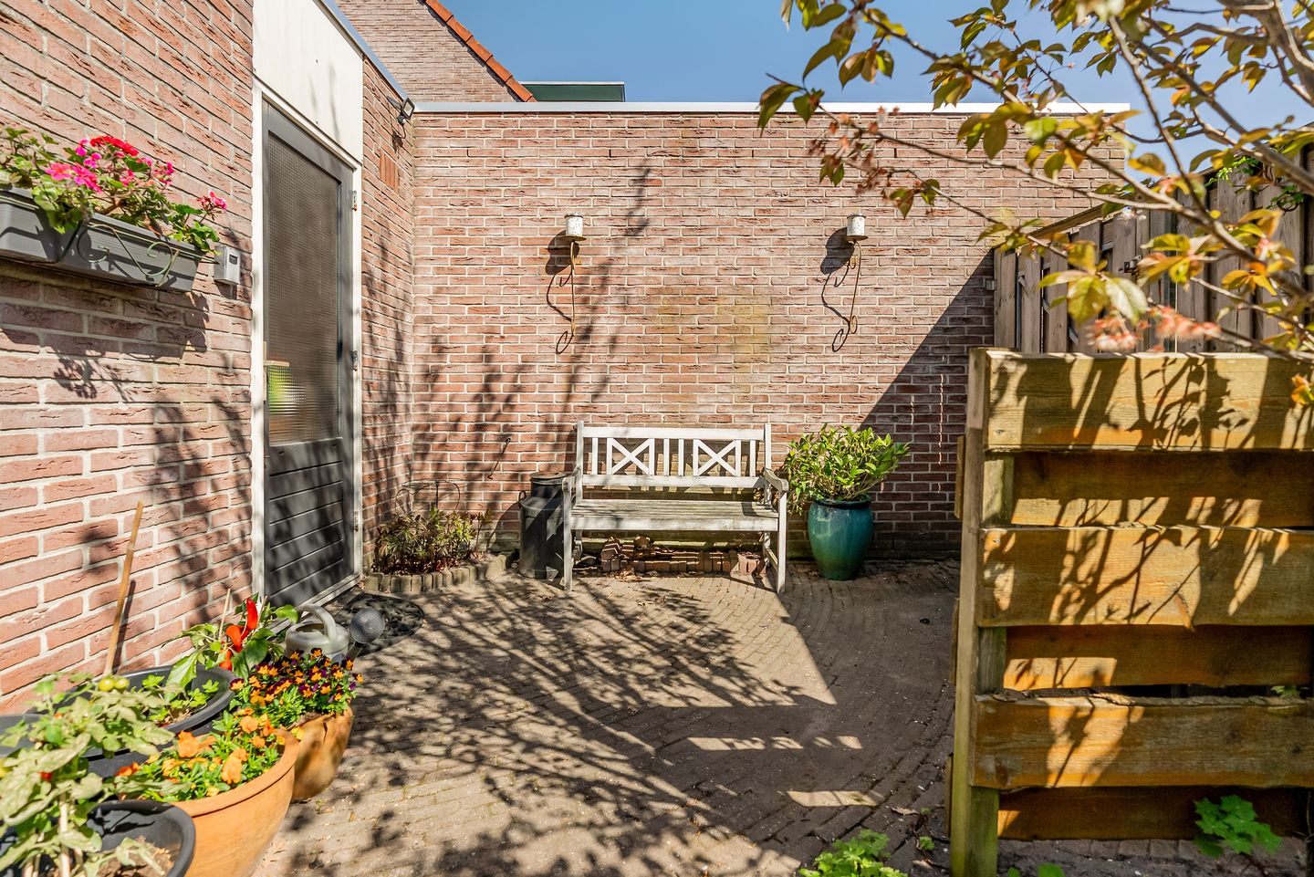 Foto 50 van Gipskruidweg 221