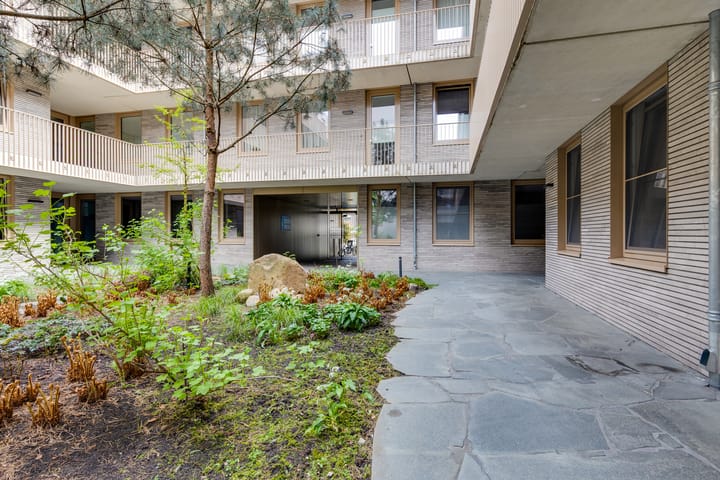 Foto 10 van de Veentjes 177