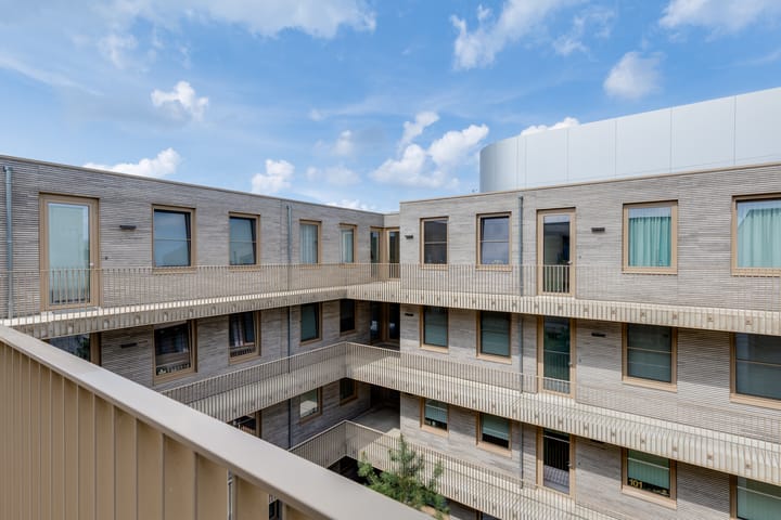 Foto 12 van de Veentjes 177