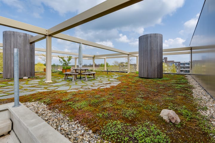 Foto 58 van de Veentjes 177