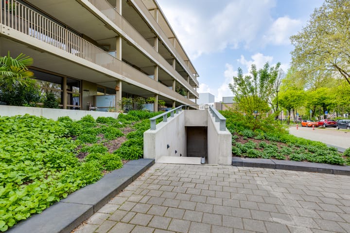 Foto 63 van de Veentjes 177