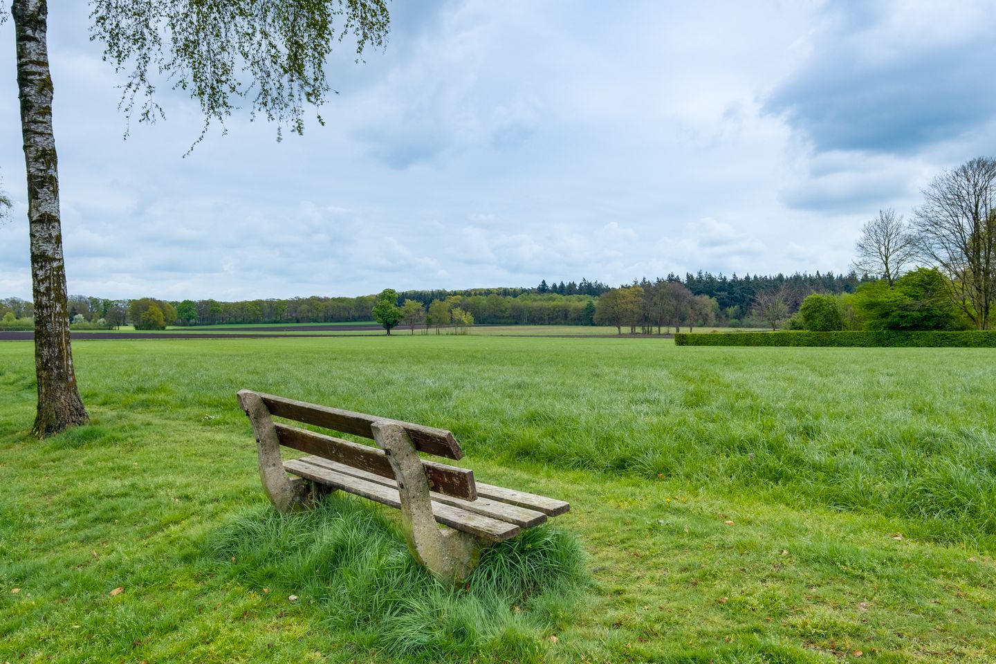 Photo 34 of Dr. ten Bokkel Huininkweg 37