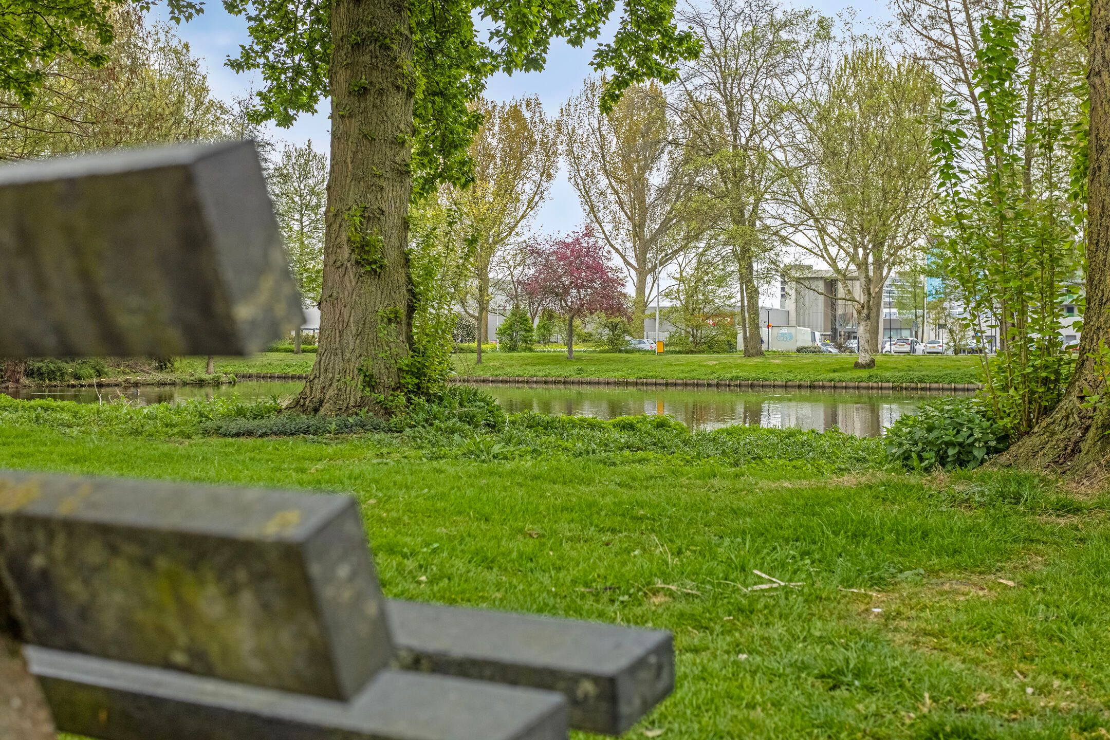 Foto 3 van Pruylenborg 195