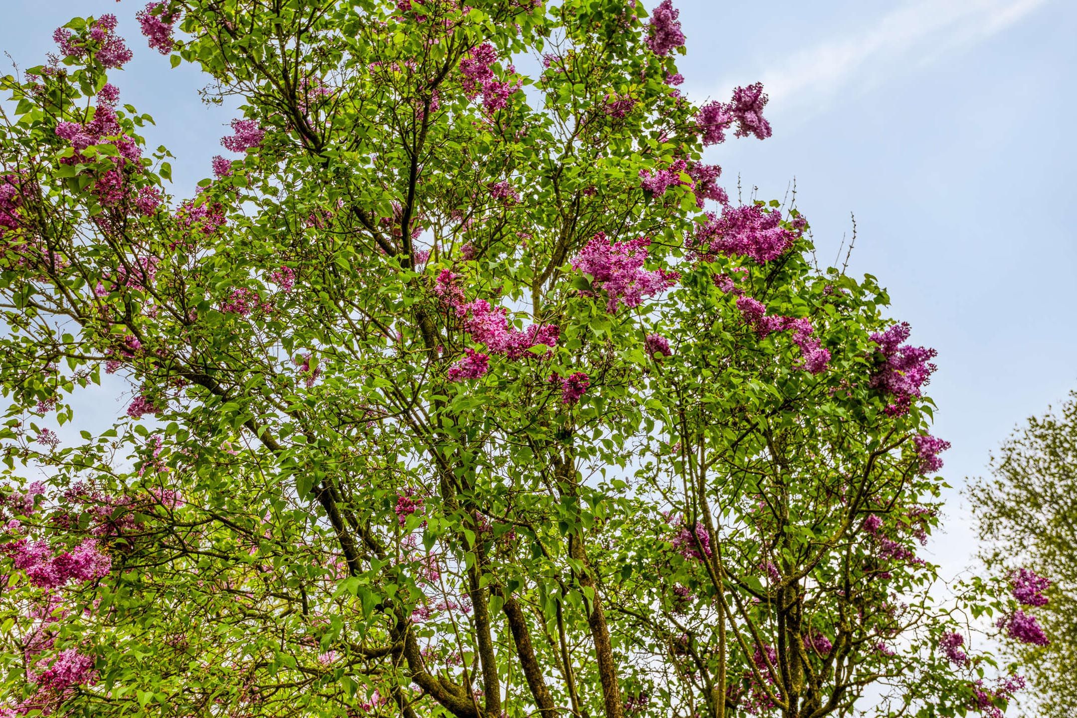 Foto 30 van Haverkampsweg 37