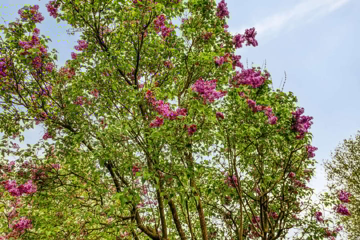 Foto 30 van Haverkampsweg 37