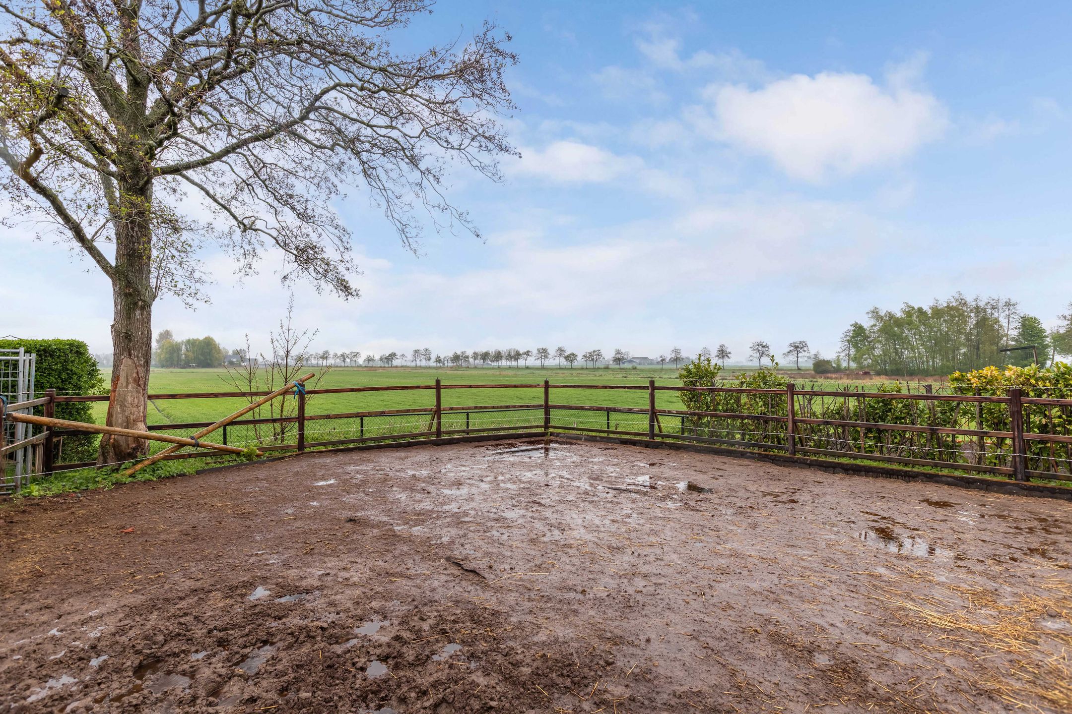 Foto 66 van Otterweg 45