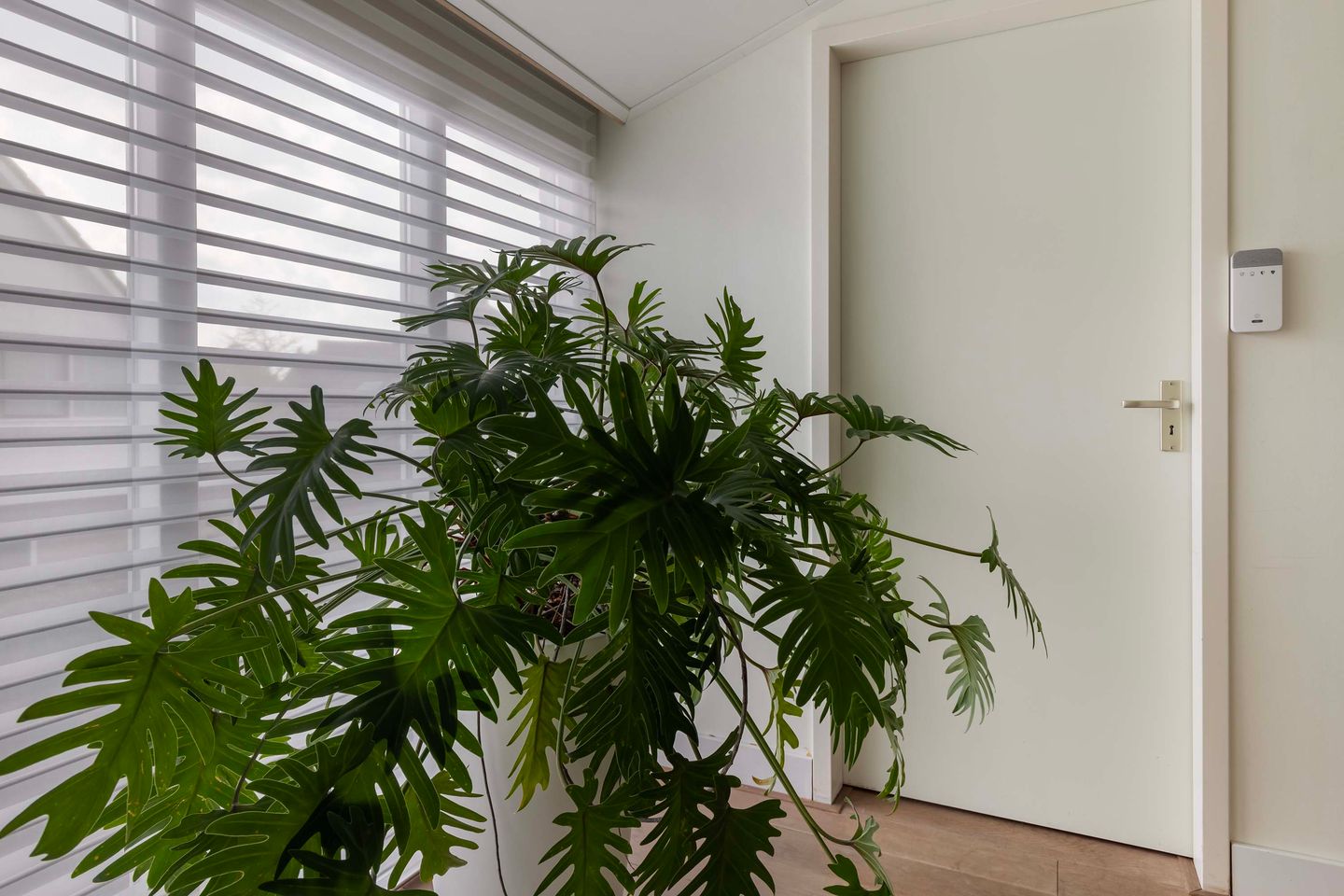 Foto 49 van Homerusstraat 64