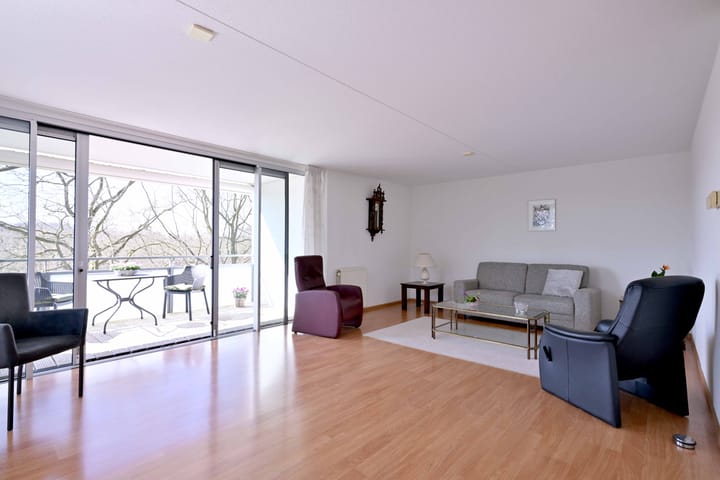 Foto 5 van Leonard Springerlaan 59