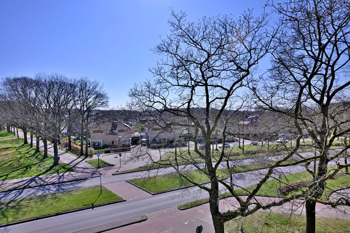 Foto 8 van Leonard Springerlaan 59