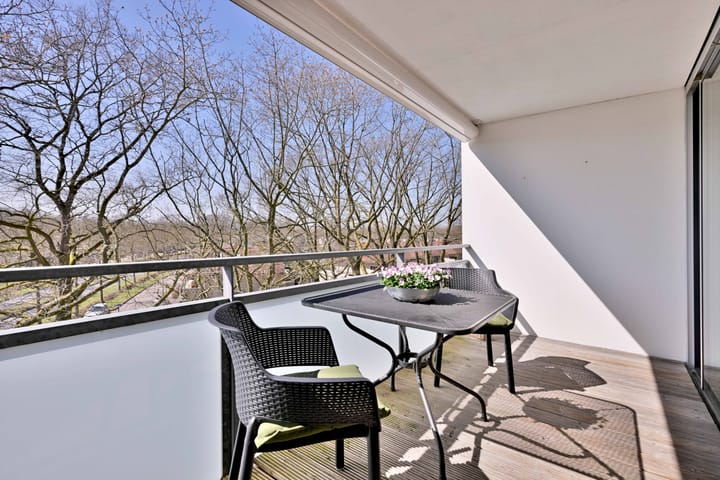 Foto 9 van Leonard Springerlaan 59