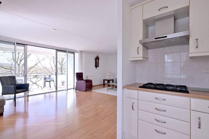 Foto 13 van Leonard Springerlaan 59