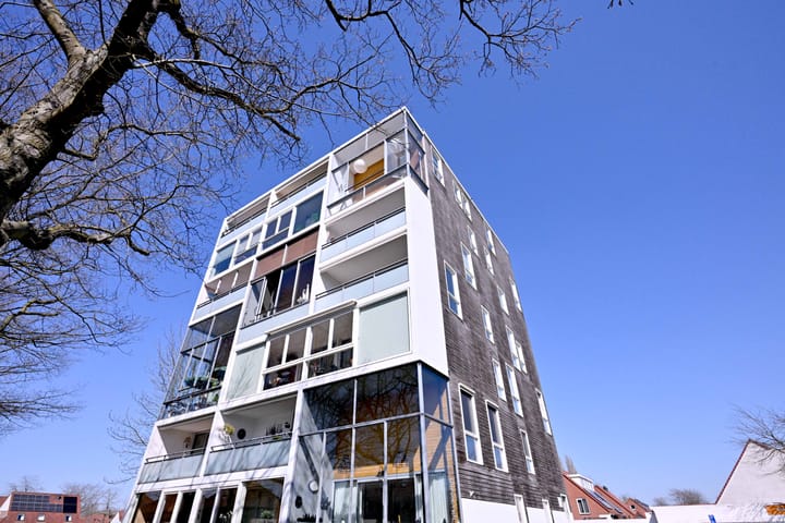 Foto 30 van Leonard Springerlaan 59