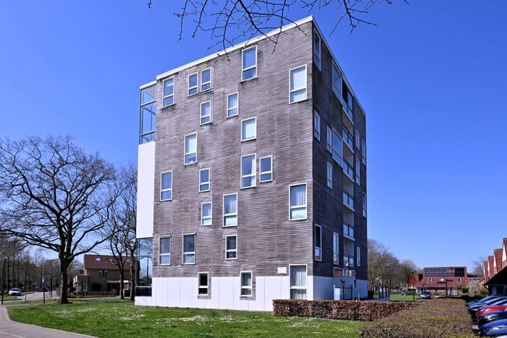 Foto 31 van Leonard Springerlaan 59