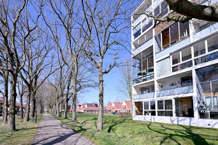 Foto 32 van Leonard Springerlaan 59