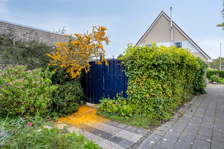 Foto 16 van Papenven 31