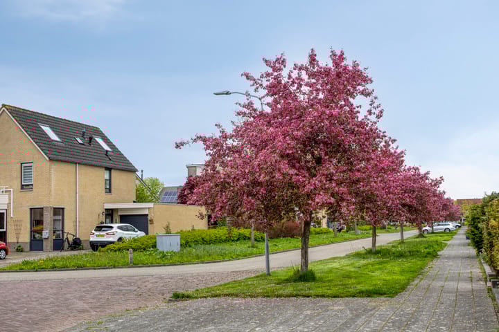 Foto 25 van Papenven 31