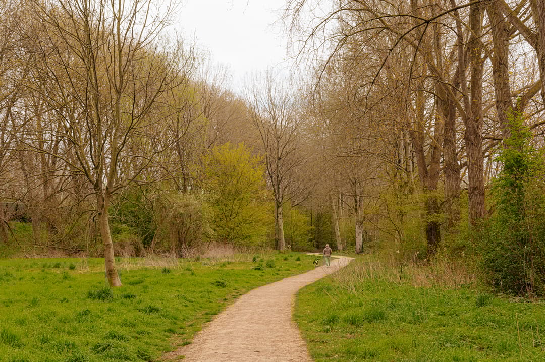 Foto 28 van Jisperveldstraat 243