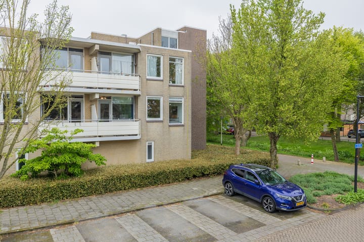 Bekijk foto van Springtij 12