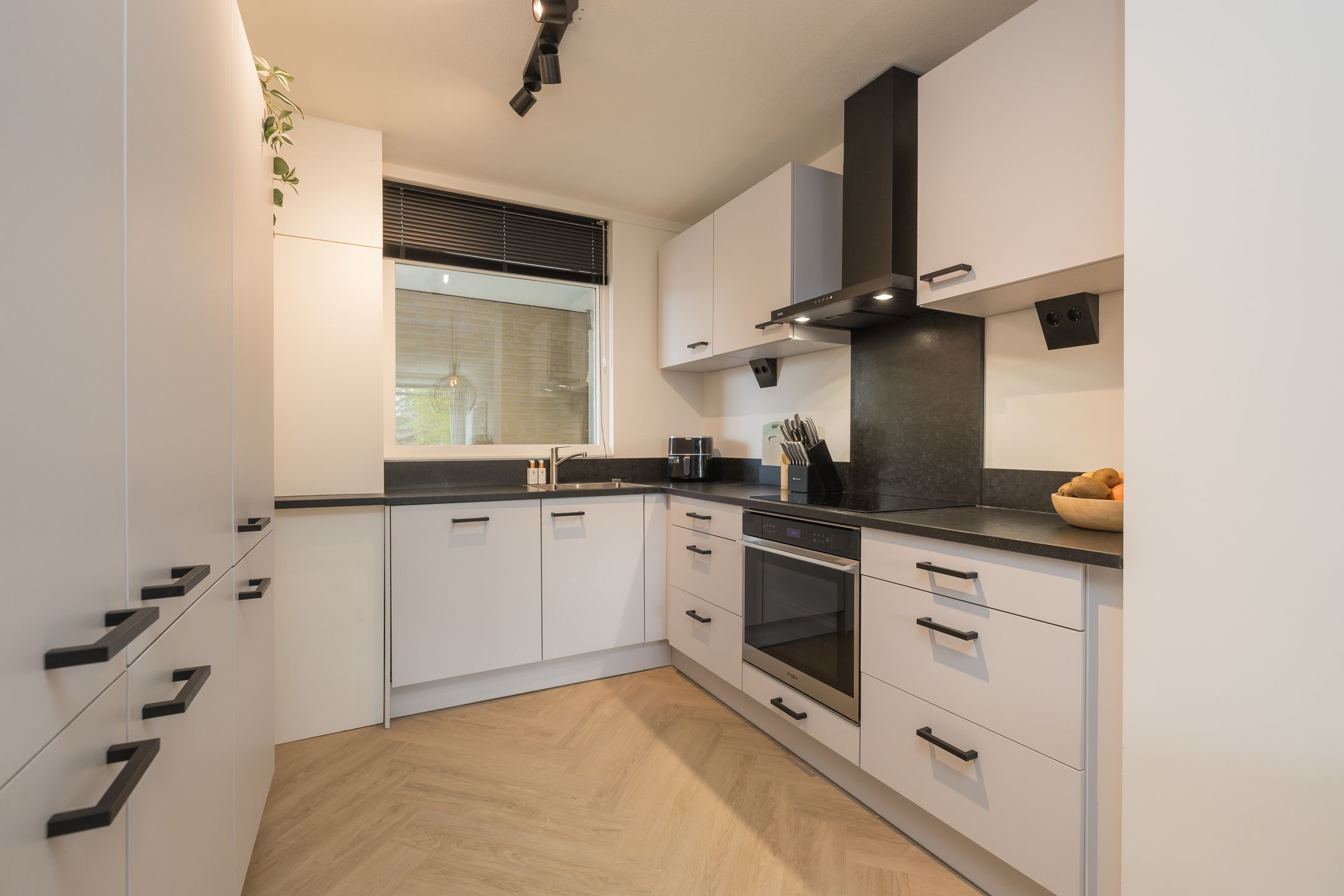 Photo 3 of Springtij 12