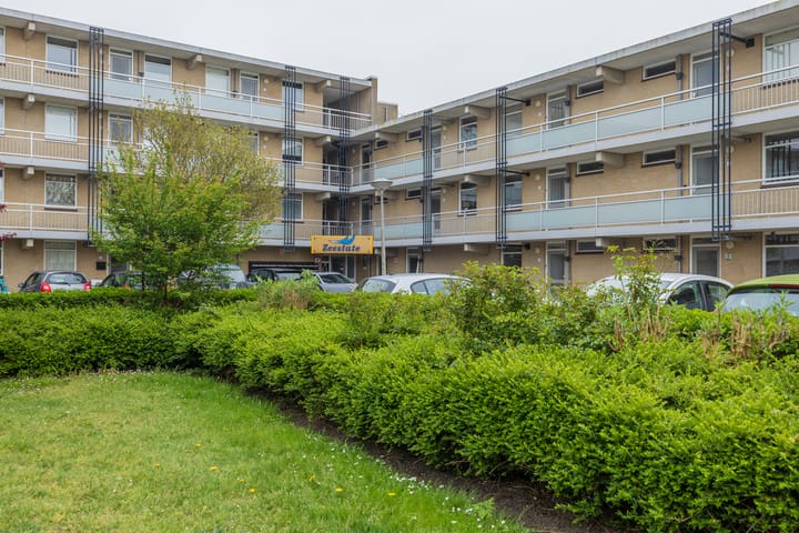 Photo 4 of Springtij 12