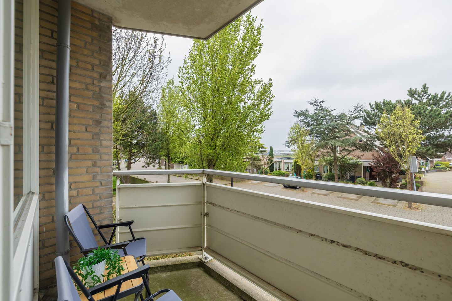 Photo 20 of Springtij 12