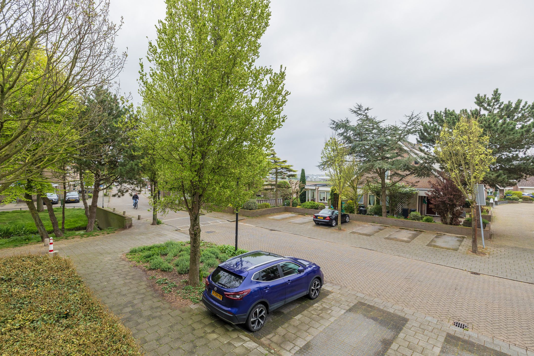 Photo 21 of Springtij 12