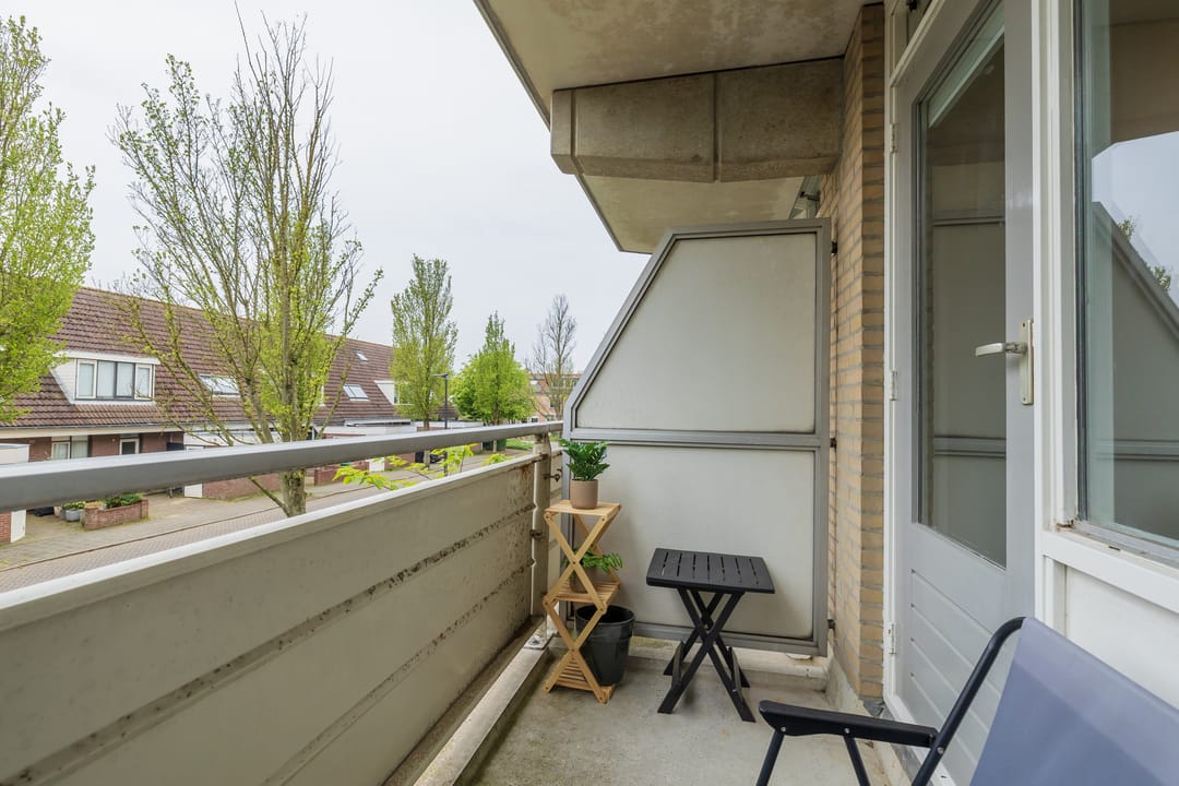 Photo 22 of Springtij 12