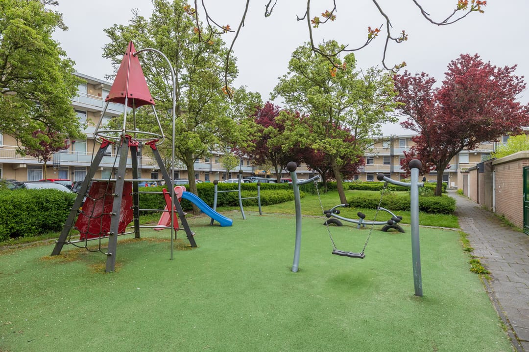 Photo 23 of Springtij 12