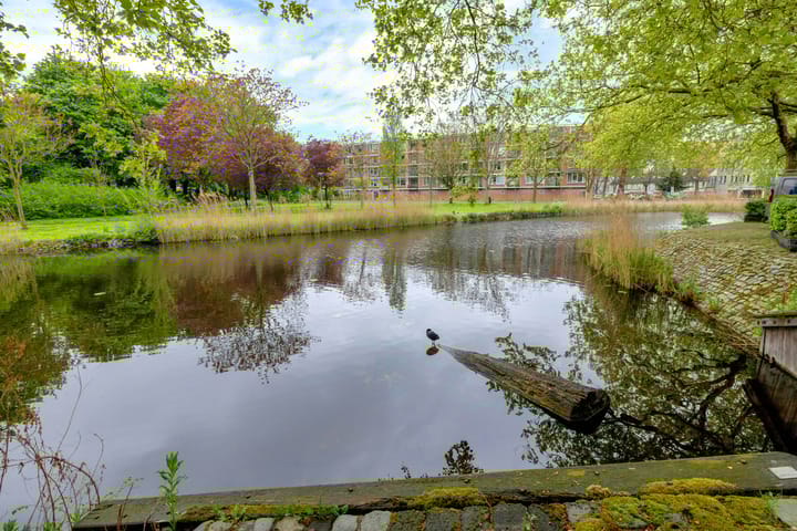 Foto 29 van Vellevest 10