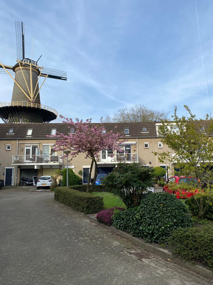 Foto 36 van Vellevest 10