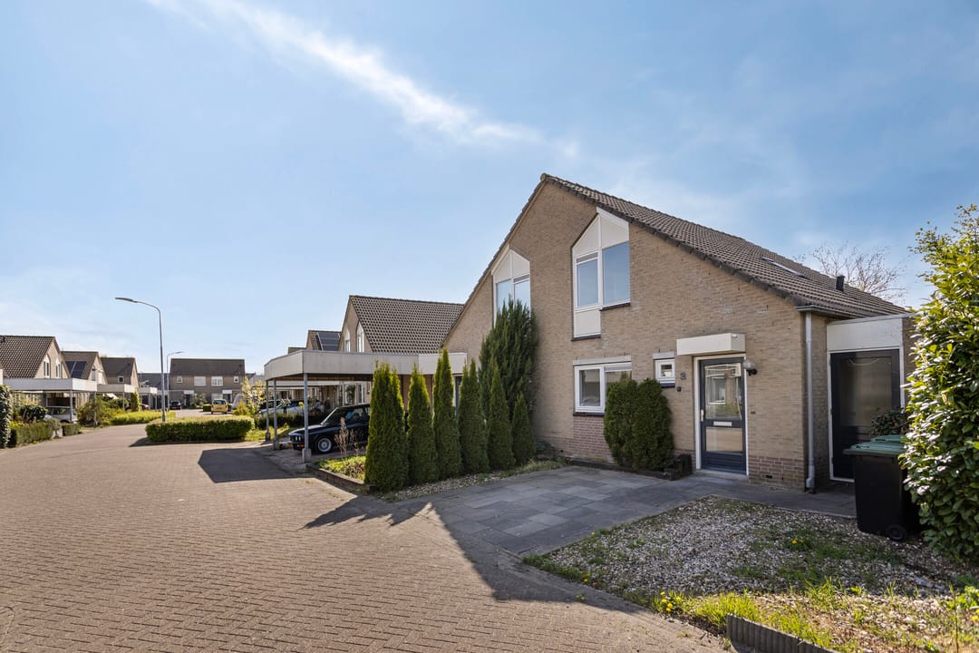 Foto 1 van Stekelzegge 2