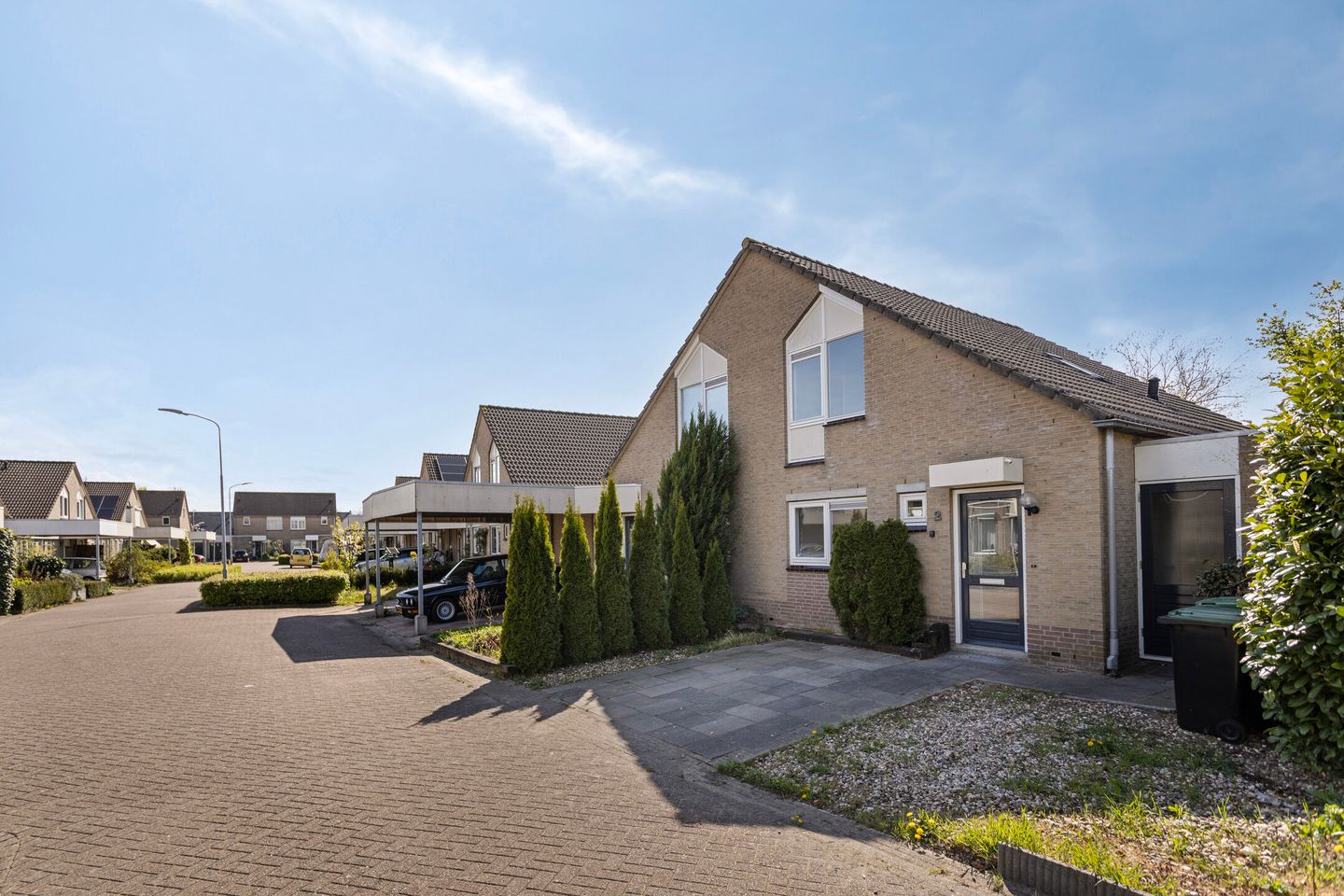 Foto 1 van Stekelzegge 2