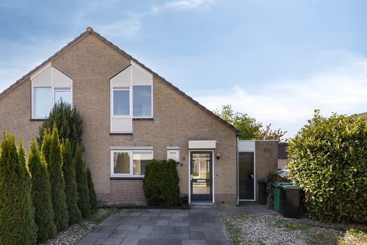 Foto 5 van Stekelzegge 2