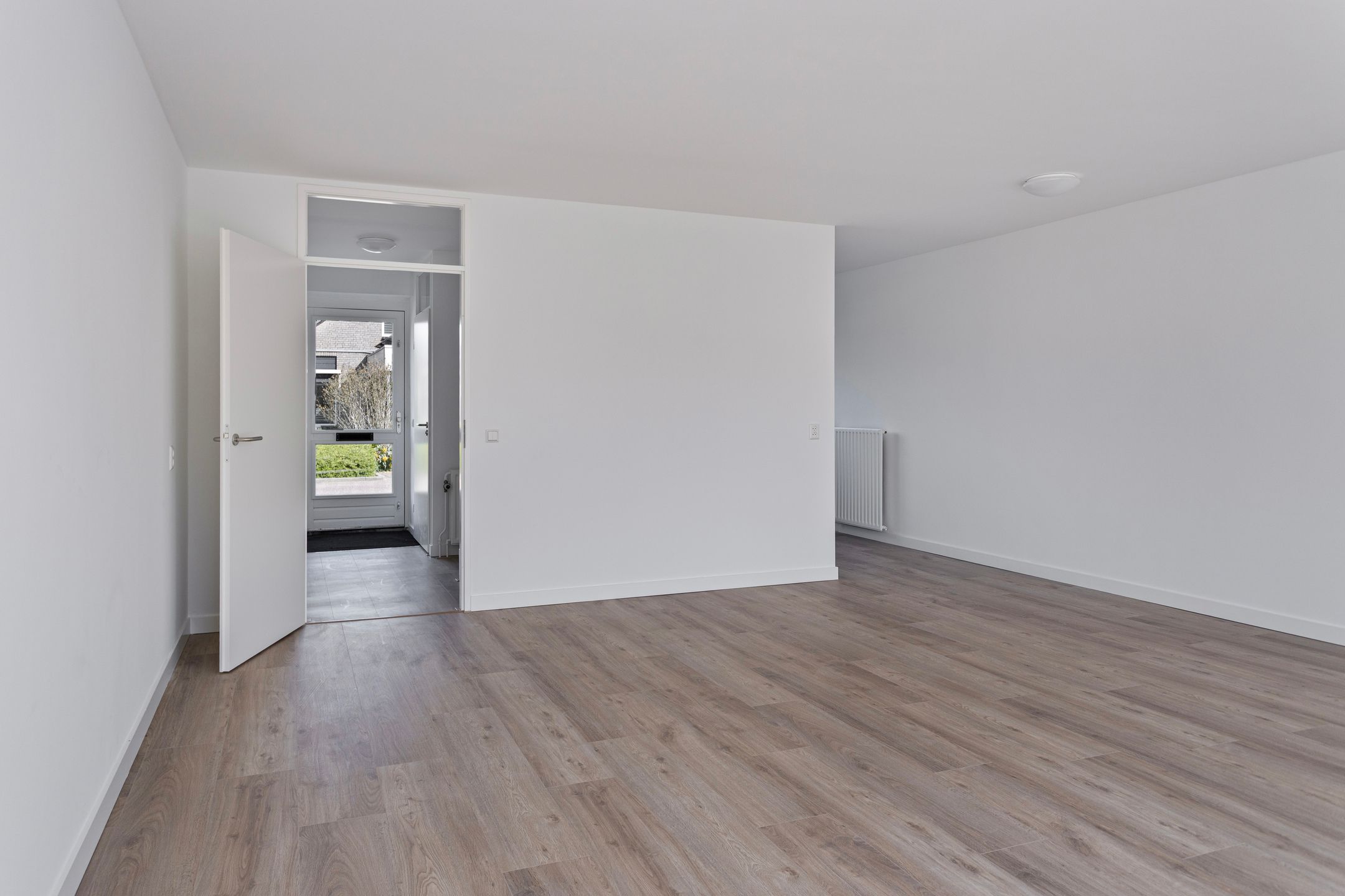 Foto 9 van Stekelzegge 2