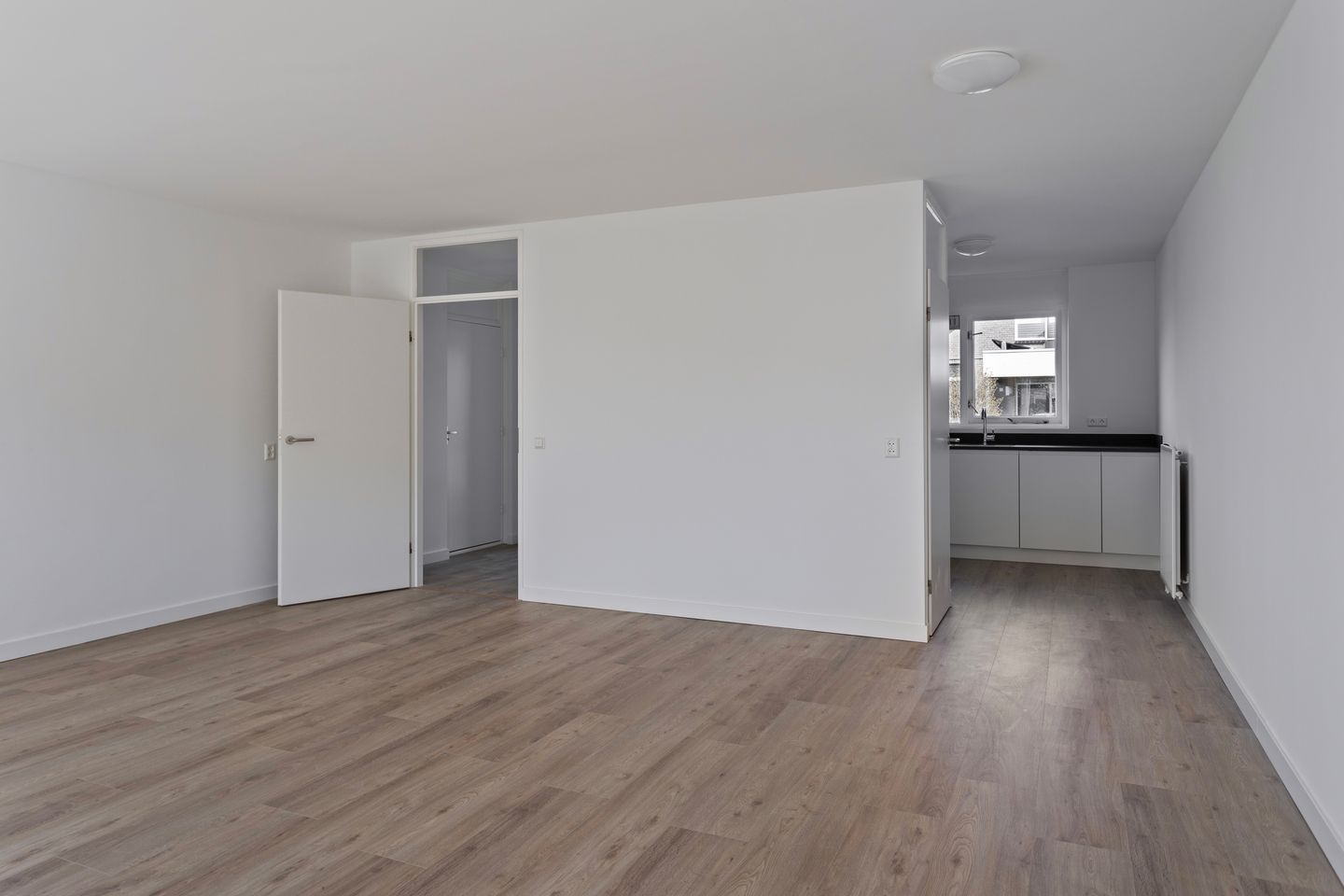 Foto 10 van Stekelzegge 2