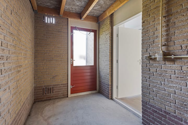 Foto 15 van Stekelzegge 2