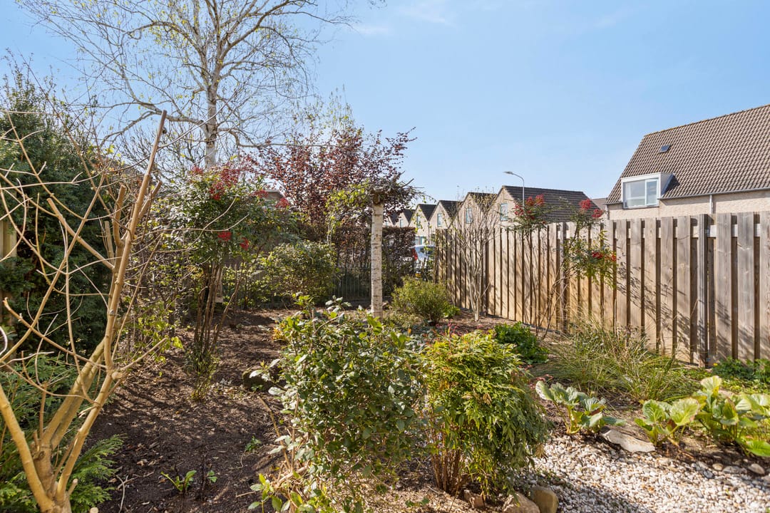 Foto 26 van Stekelzegge 2