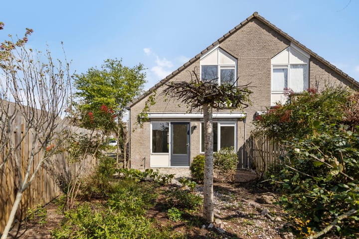 Foto 27 van Stekelzegge 2