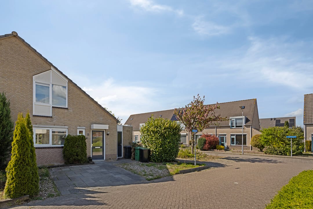 Foto 28 van Stekelzegge 2