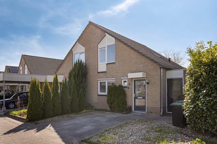 Foto 29 van Stekelzegge 2