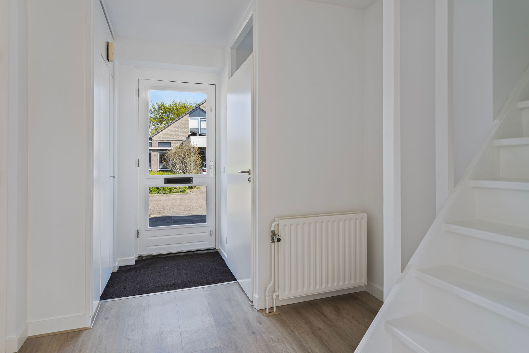 Foto 6 van Stekelzegge 2