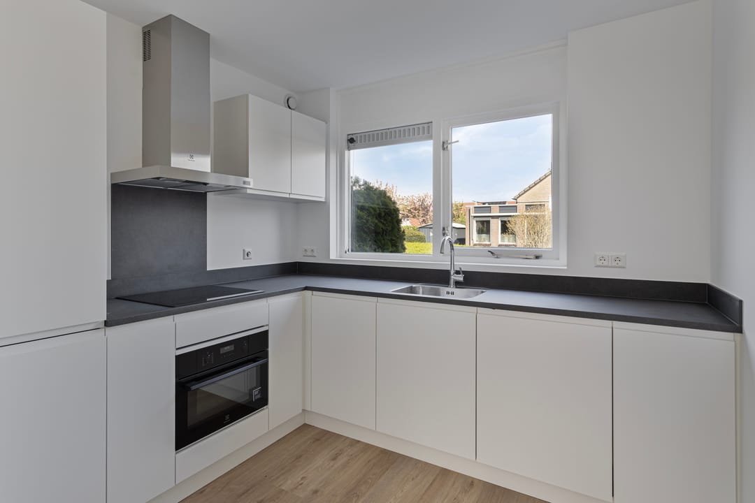 Foto 11 van Stekelzegge 2