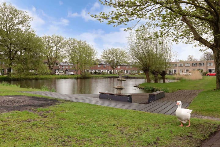 Photo 47 of De Rien 54