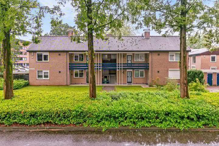 Foto 2 van Piet Heinstraat 55