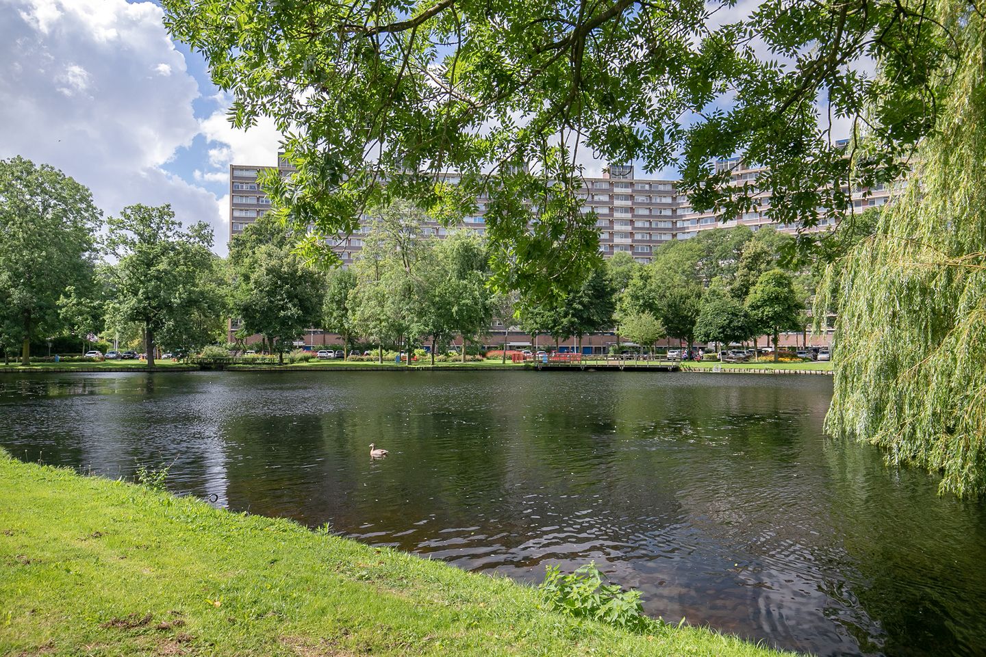 Foto 40 van P C Boutenssingel 145