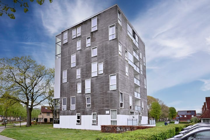 Foto 27 van Leonard Springerlaan 63