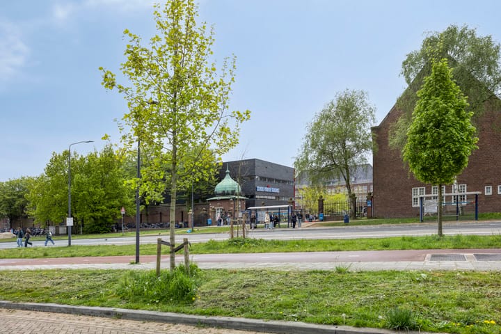 Foto 32 van Hoflaan 247