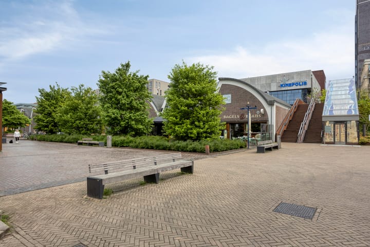 Foto 34 van Hoflaan 247