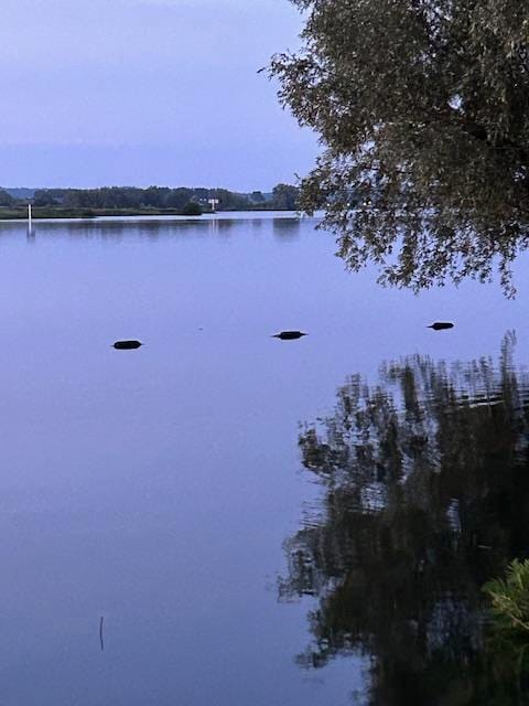 Foto 17 van Rijnbandijk 36