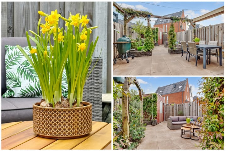 Foto 40 van Baak van Zierikzee 52